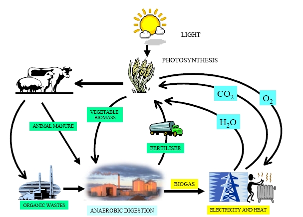 Energie kringloop met biogas