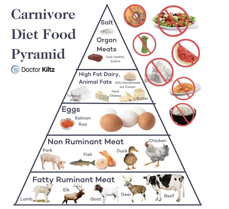 Carnivore voedselpyramide