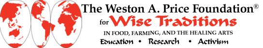 Wise Traditions Banner