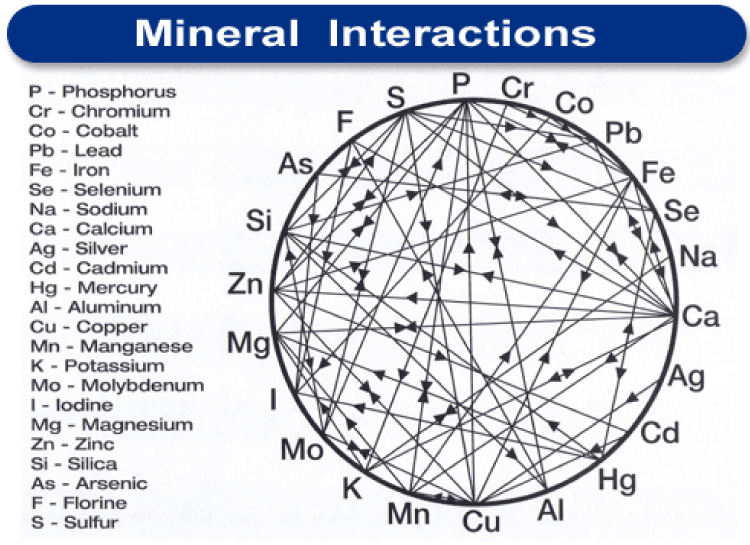Mineralen wiel