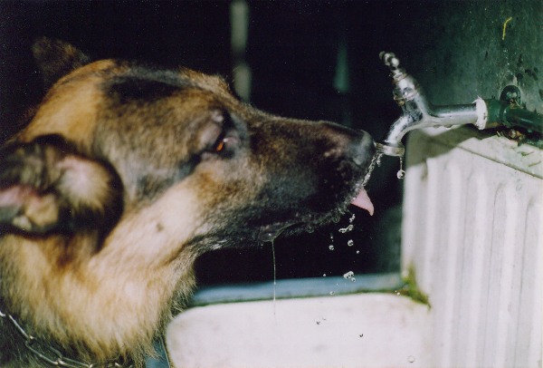 Floyd likt water uit een kraan 