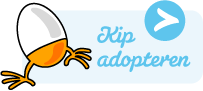 Adopteer een kip