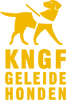 KNGF