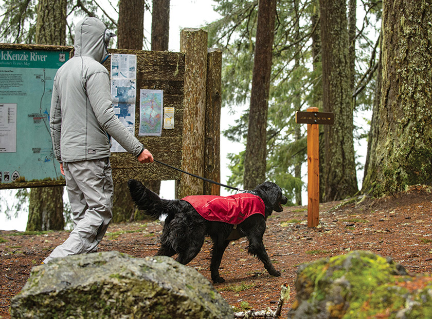 Ruffwear SunShower