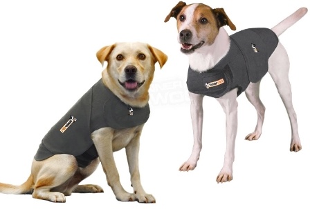 Thundershirt