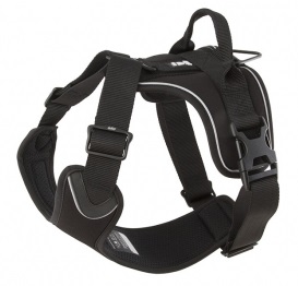 Active harness