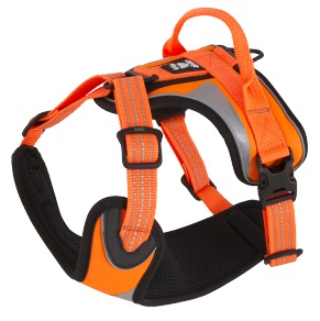 Dazzle harness