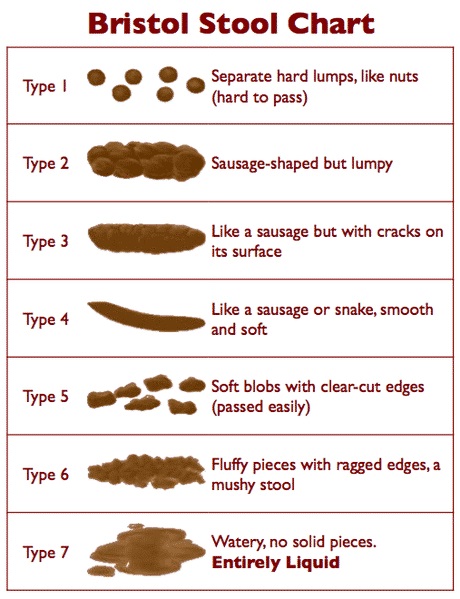Stool chart