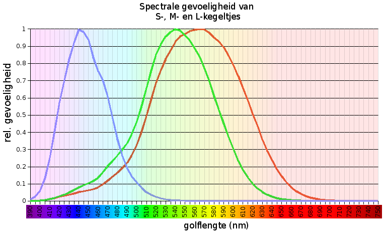 Spectrale gevoeligheid van het oog