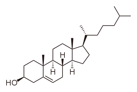 Cholesterol