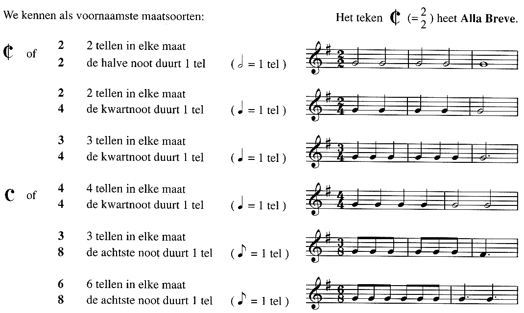 Maatsoorten