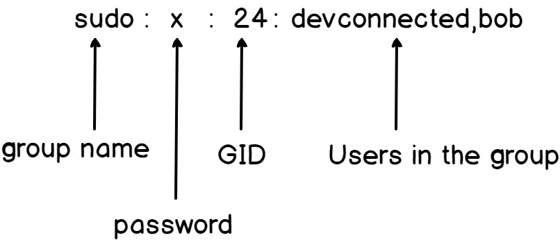 Groups