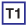 T1