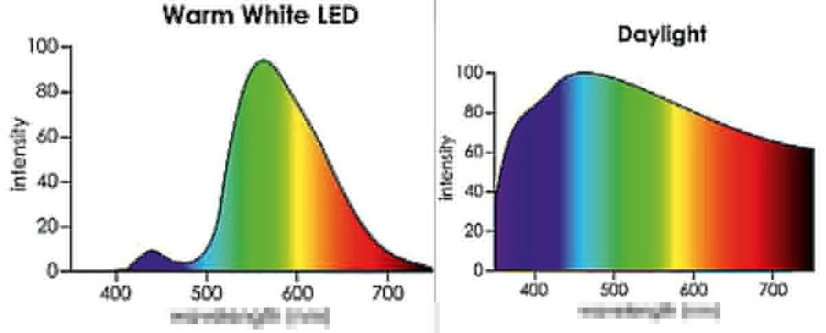 Warmwhite vs daylight