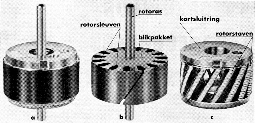 Fig 6