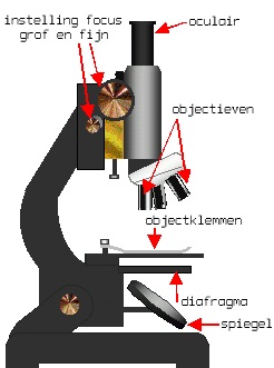 Microscoop