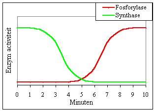 Grafiek energie / opbouw en afbraak glycogeen