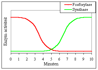 Grafiek energie / opbouw en afbraak glycogeen