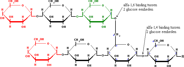 Glycogeen