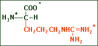 Arginine