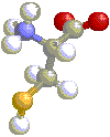 3D Cysteine