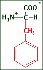 Fenylalanine