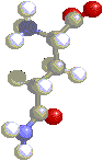 3D Glutamine