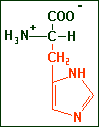 Histidine