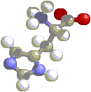 3D Histidine