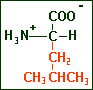 Leucine
