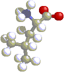 3D Leucine