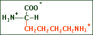 Lysine