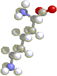 3D Lysine