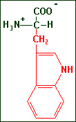 Tryptofaan