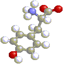 3d Tyrosine