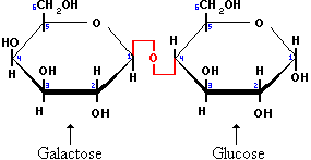 Lactose