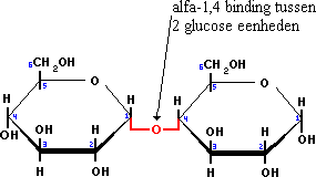 Maltose