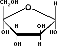 Ribose