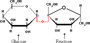 Saccharose