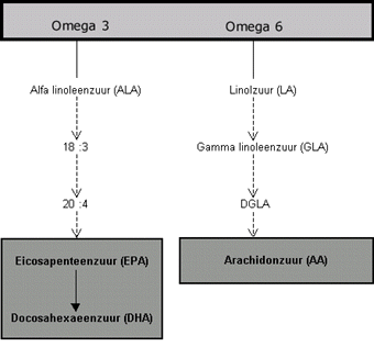 Vetzuur omzetting