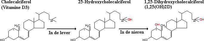 Vitamine