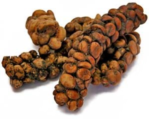 Kopi luwak bonen