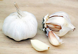 knoflook