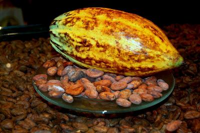 Cacaovrucht met bonen