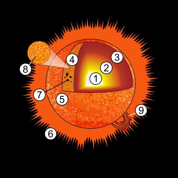 Doorsnede van de zon