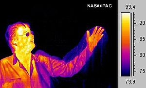 Human thermogram